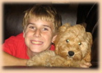 Labradoodle puppy and boy
