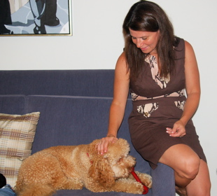 Labradoodle with mum