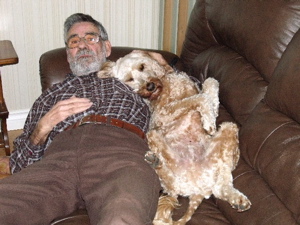 Labradoodle relaxing with Jim