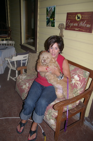 Labradoodle puppy and entire family