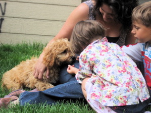Labradoodle with mum and children