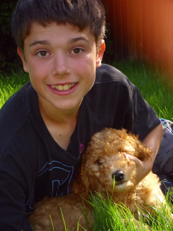 Labradoodle puppy and family