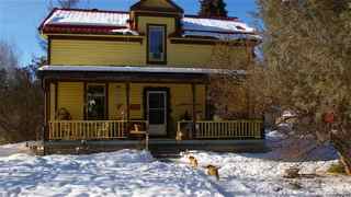 labradoodle puppies running home 