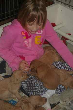 Erika and little puppies 