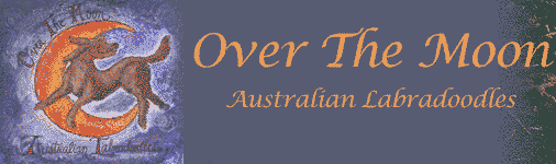 Over the Moon Logo