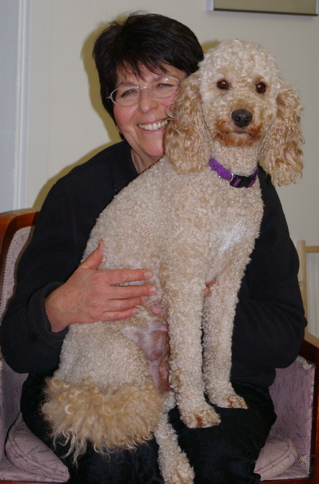 Labradoodle sits on Judy's knee