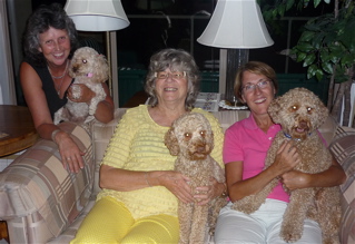 Labradoodle puppies with Liz, Sue and Marie