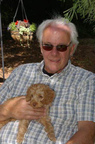 Labradoodle puppy meets dad