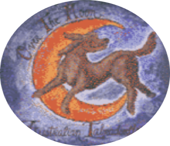 overthemoonlabradoodles.com